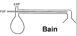 Patient Circuits Bain Circuit (Inhalation and Exhalation Circuit)