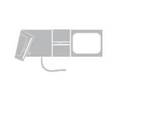 Blood Pressure Cuff Disposable 1 tube Adult with luer lock