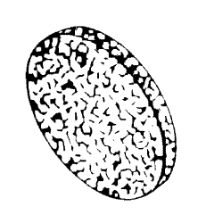 Autoclave Parts General Use FILTER